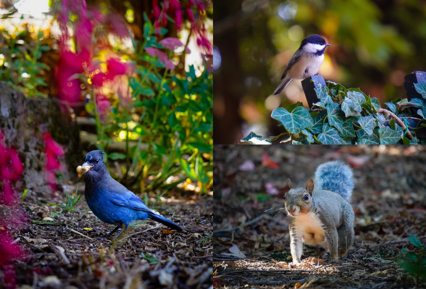 Community Center: Welcoming Fall