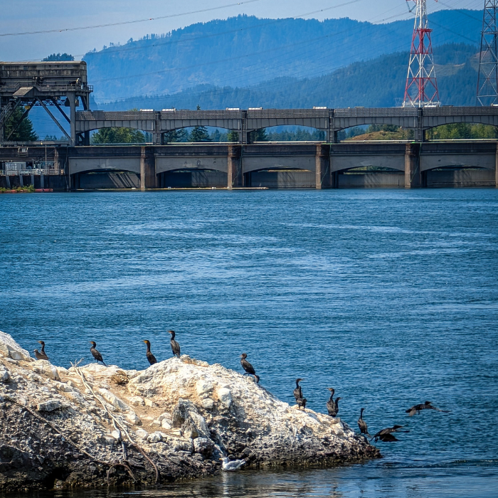 A Cruise on the Sternwheeler Columbia Gorge - DivineMrsDiva.com